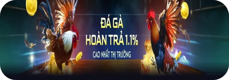 ga88vn hoàn trả